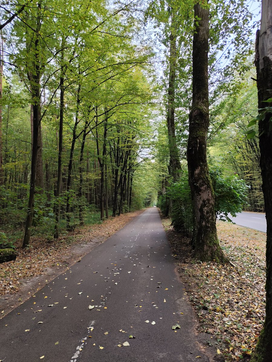 RoccoNotarnico2's tweet photo. A nice morning walk to the biological department in Białystok for #PEC2024 https://t.co/e0zWwFxpgu