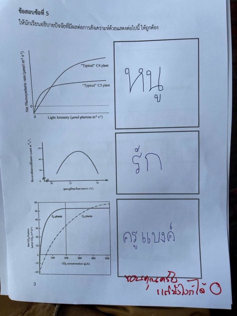 น้งบอม (@veisne) on Twitter photo 