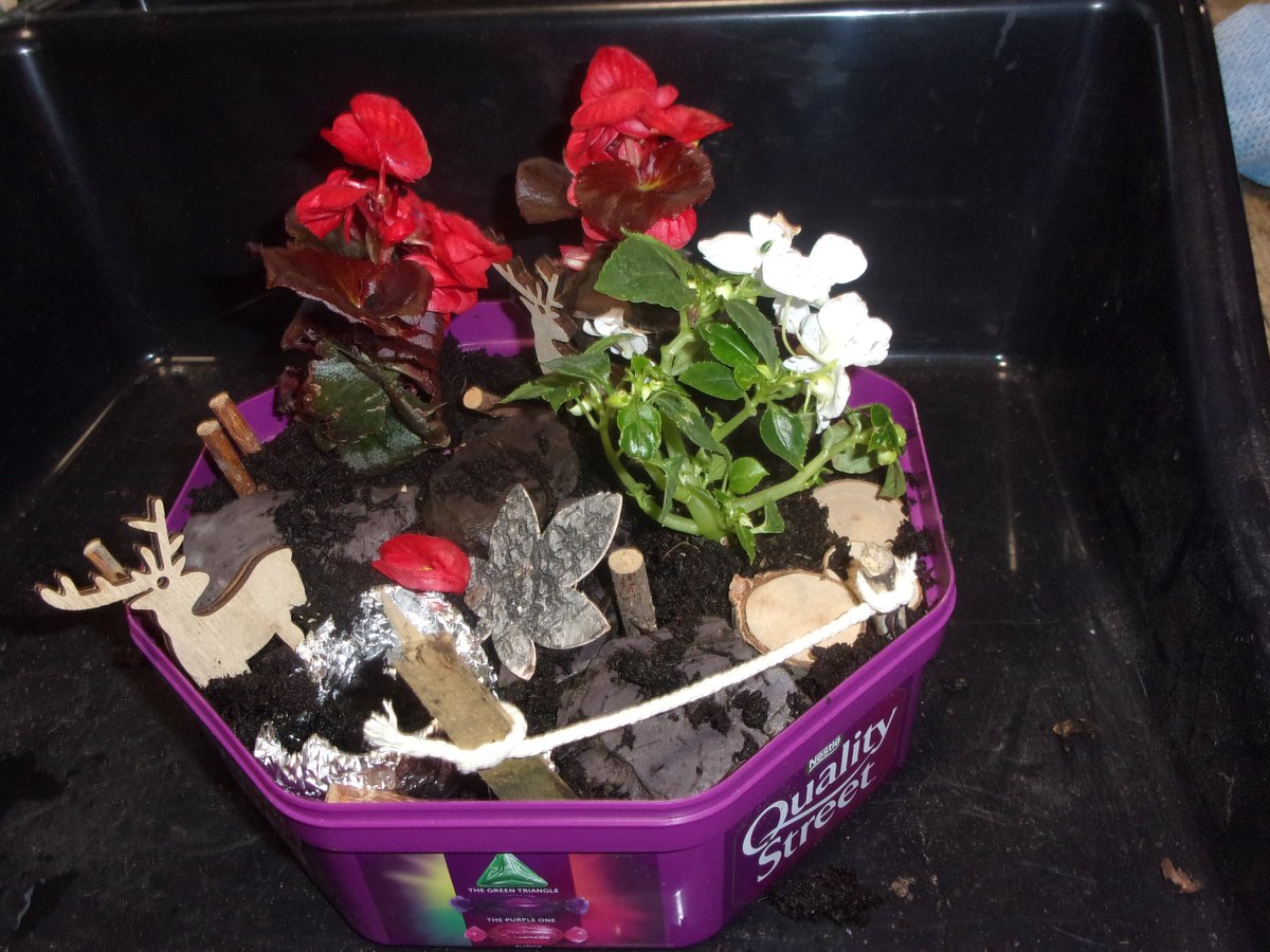 folkestoneshed's tweet image. Miniature gardens going home with young people. Thanks Jennie @KentWildlife
