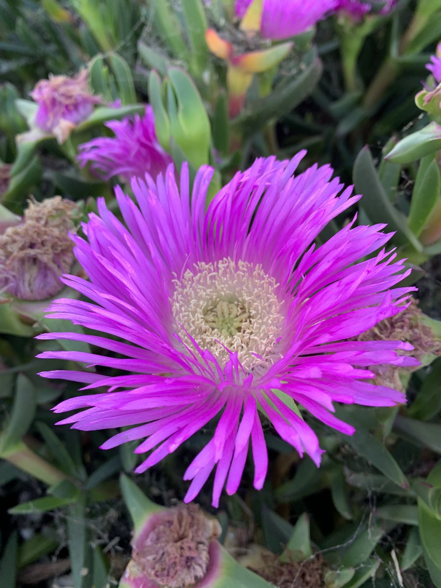 Green22229Pool's tweet image. Changing locations alters the natural scenery; different countries&apos; landscapes might seem more appealing initially, akin to perceiving distant grass being greener. Yet, in truth, nature&apos;s beauty transcends borders universally, crucial for enriching our lives when recognized.