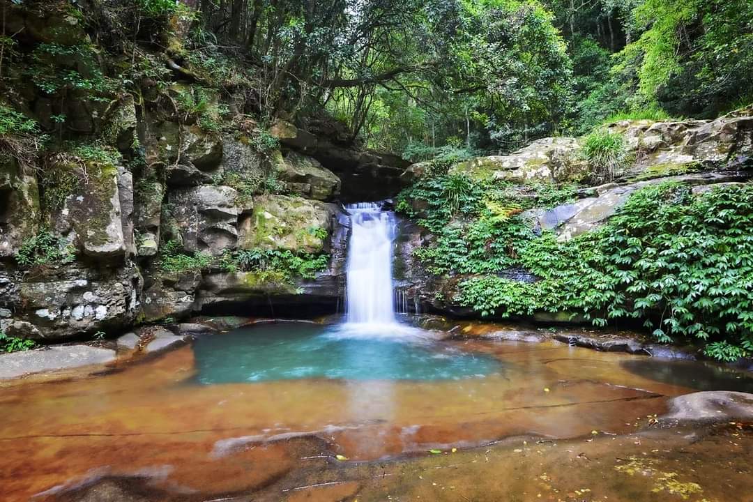 Chilbys's tweet image. Macquarie Pass National Park. 

#illawarra #shellharbour #wollongong #macquariepassnp