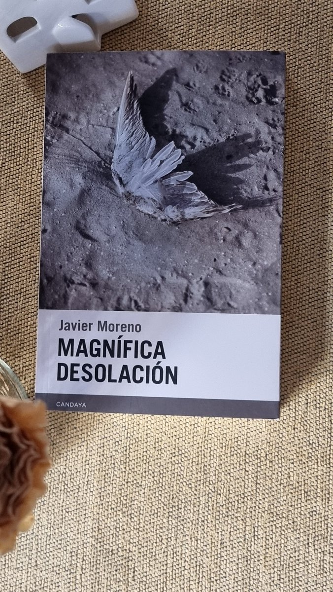 Óscar Díaz (@oldgarcia) on Twitter photo 24. Magnífica desolación (Javier Moreno, <a href="/EdCandaya/">Editorial Candaya</a>). Después de leer este año a Salter y Saunders, ¿queda margen para que te deslumbren? Sin duda. Moreno lo logra con sus cuentos sobre realidades e irrealidades, identidades difusas, bucles inesperados y maravillosos. #Papel2024 24. Magnífica desolación (Javier Moreno, <a href="/EdCandaya/">Editorial Candaya</a>). Después de leer este año a Salter y Saunders, ¿queda margen para que te deslumbren? Sin duda. Moreno lo logra con sus cuentos sobre realidades e irrealidades, identidades difusas, bucles inesperados y maravillosos. #Papel2024