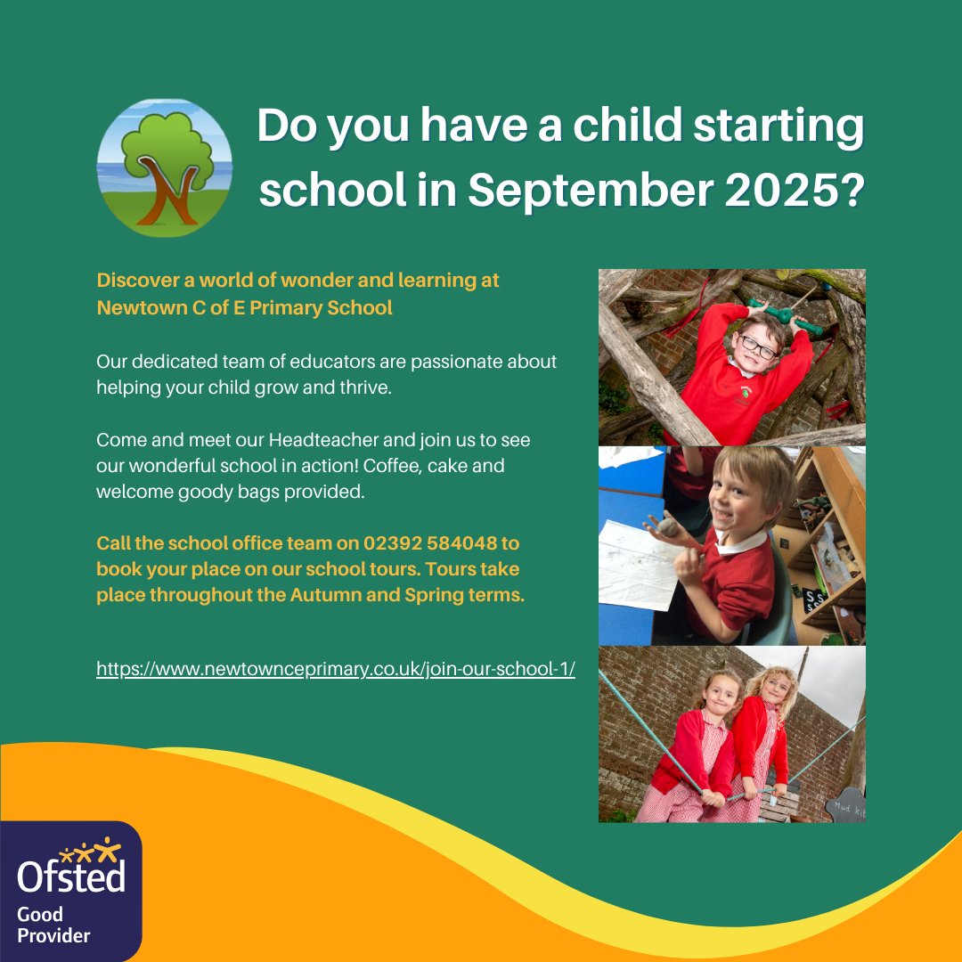 Newtown C of E Primary School tweet media