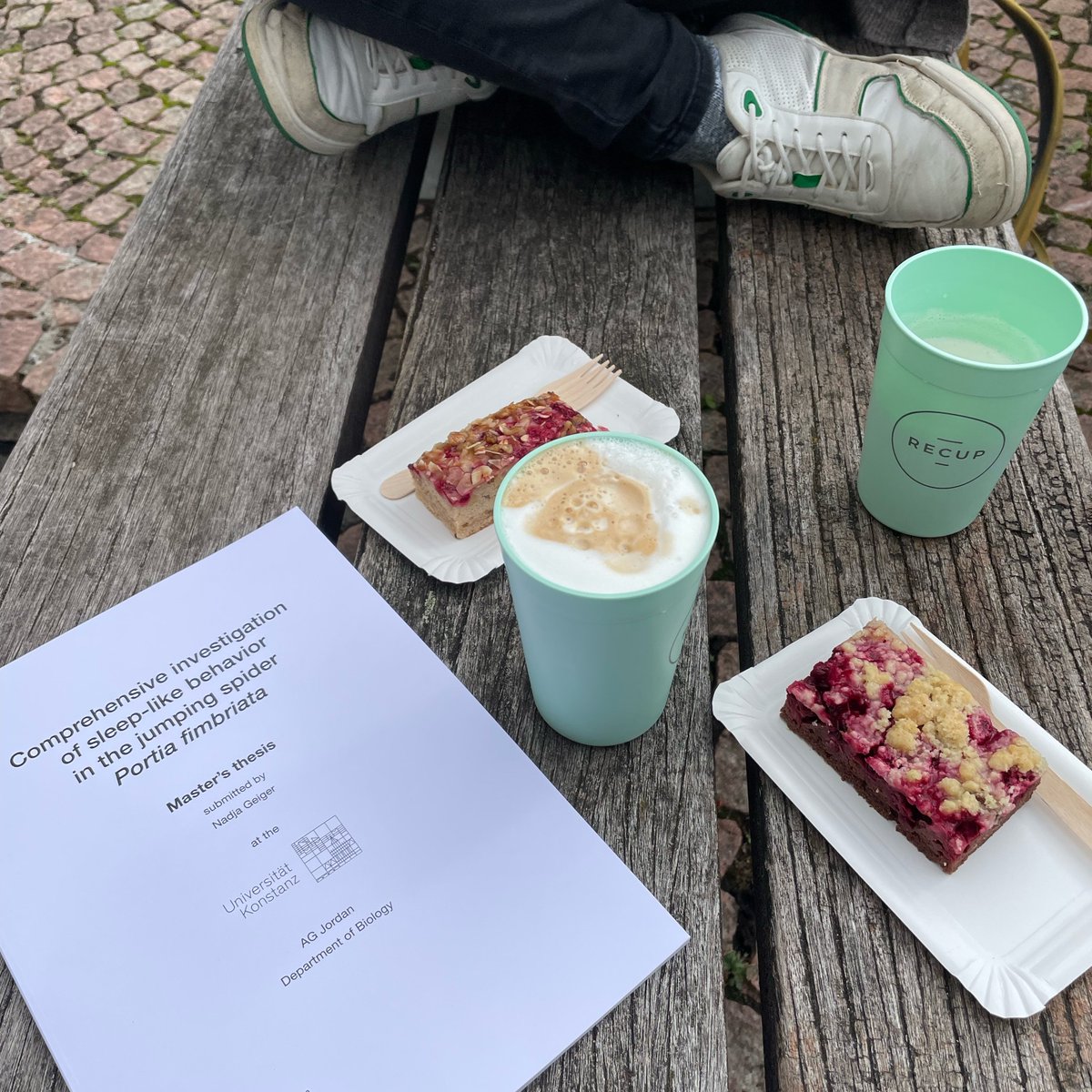 Dr. Daniela Rößler tweet media