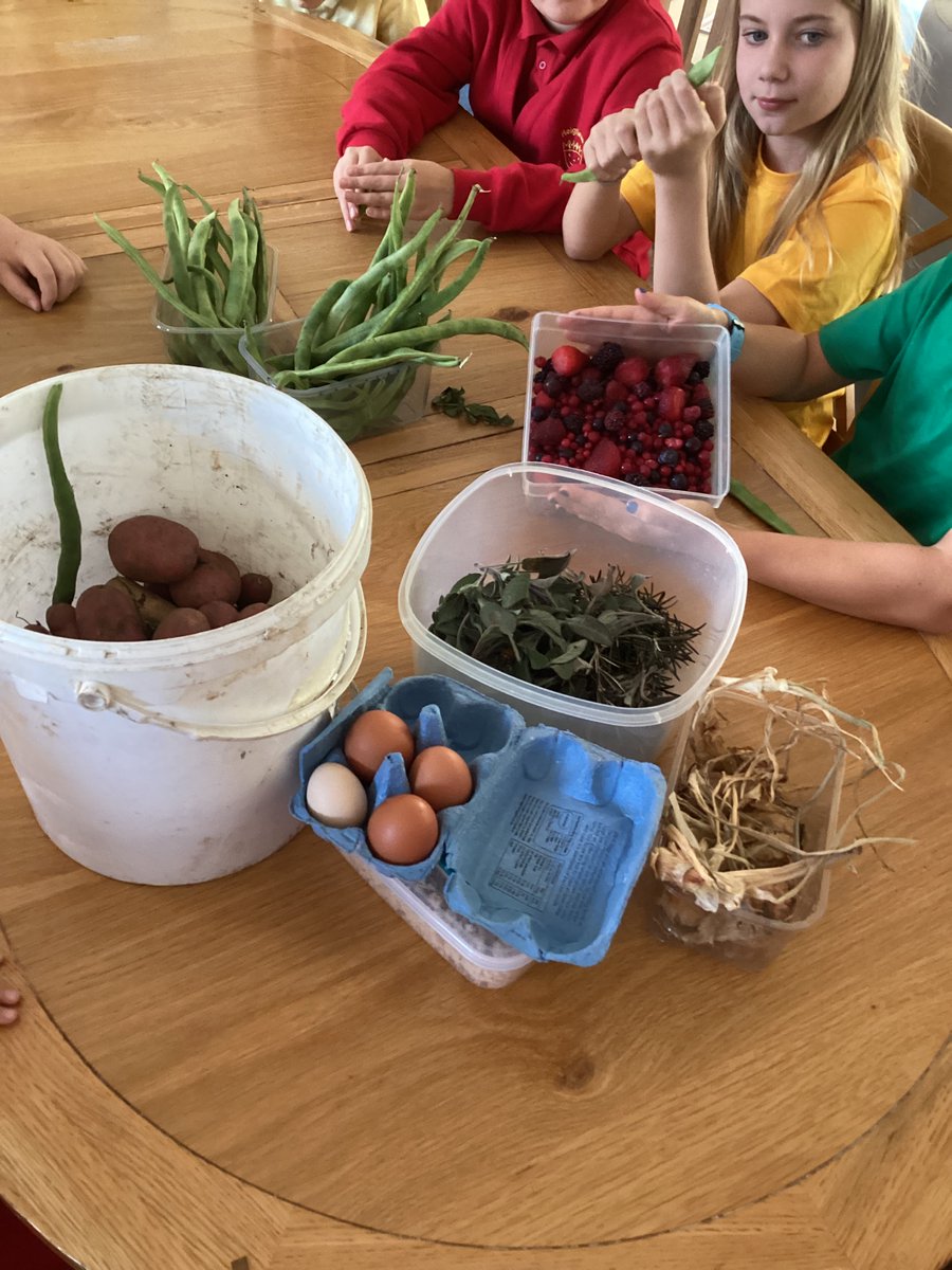 ReignheadPri's tweet image. Our Gardening Club spent yesterday's session cooking the produce we harvested from our allotment. We made roast potatoes, broad beans, stuffing and a fruit crumble! 😋🍓🧅🌿🥔