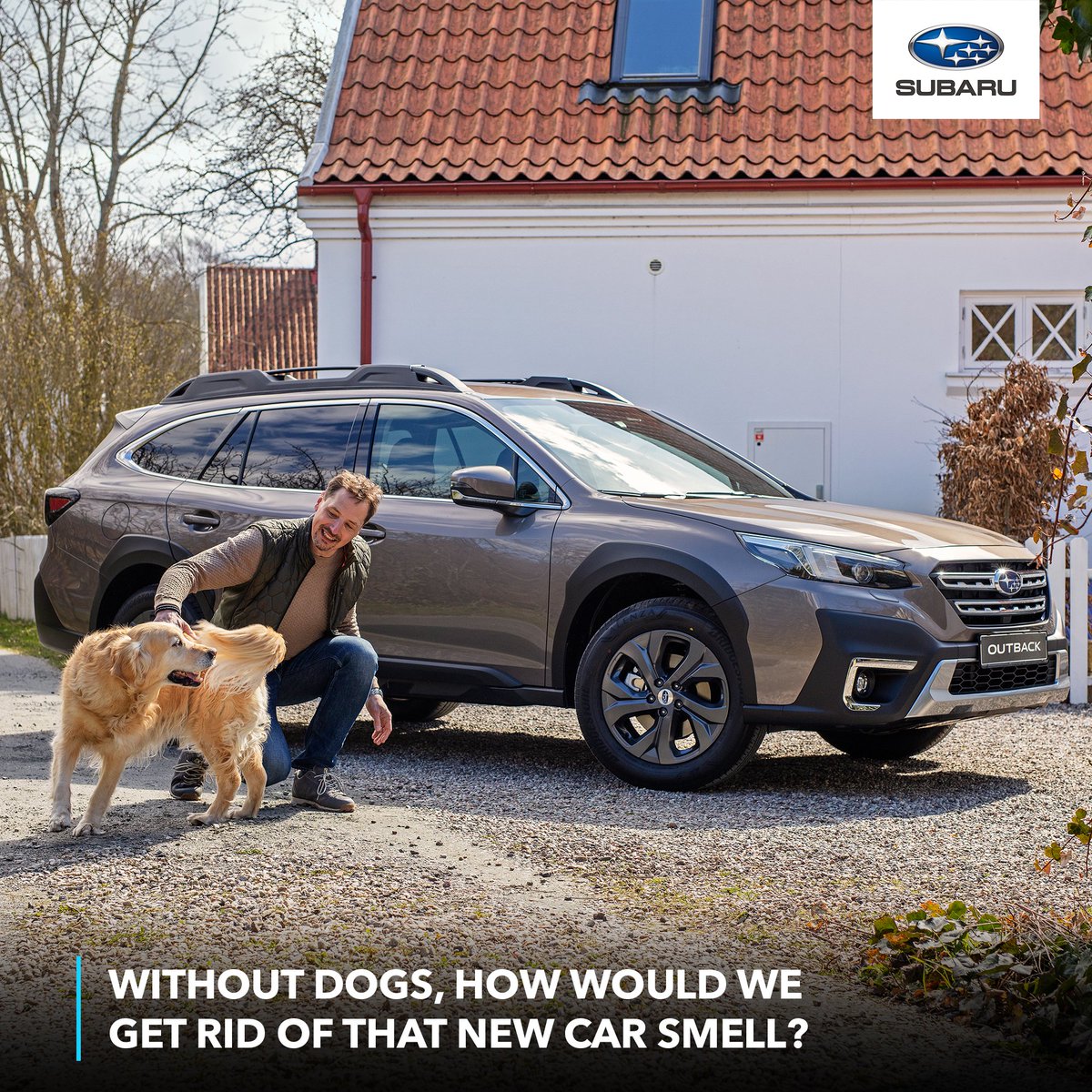 NepalSubaru's tweet photo. Every adventure is better with a loyal friend by your side. Adopt, don't shop, and bring home a companion for life's journeys.

#SubaruNepal #AdoptDontShop #KeepThemSafe #dogs #cats #pets #outback #eyesight #outbackeyesight #subaruoutback #subarueyesight #safestsuv https://t.co/2mmljLjQHf