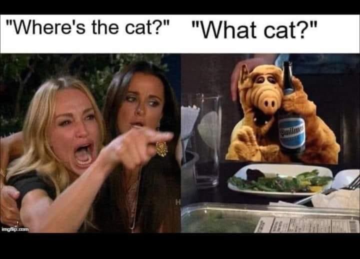 Oh no
#eatingthecats #Springfield #TrumpHarrisDebate #eatingcats #alf