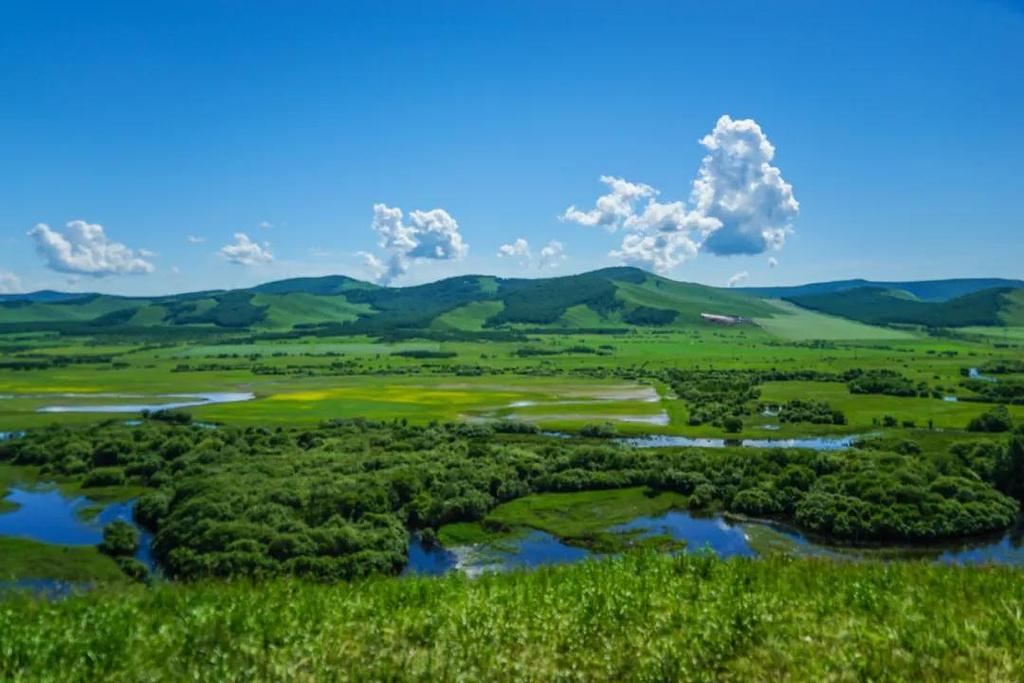 Roberta Villa tweet media