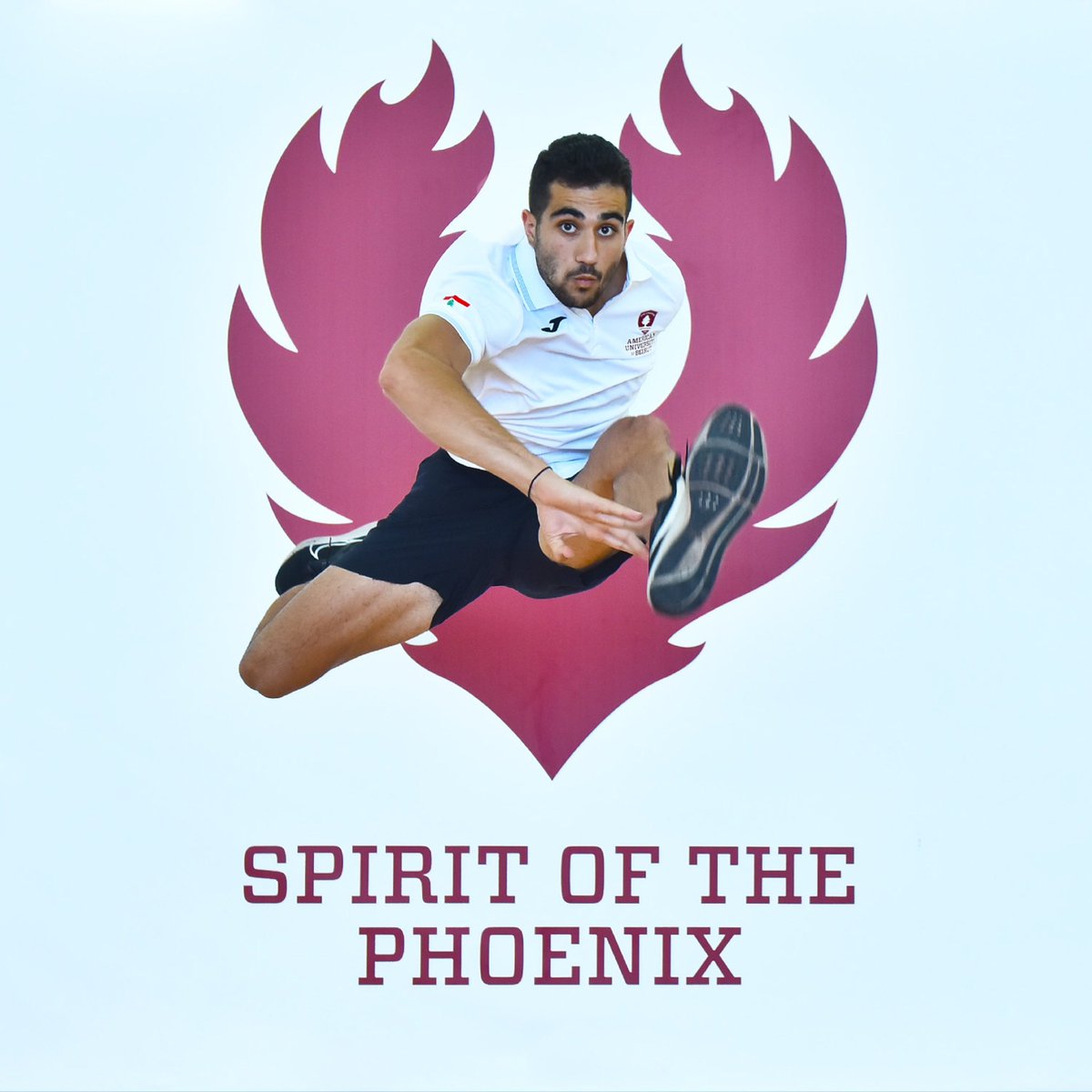 AUB Athletics tweet media