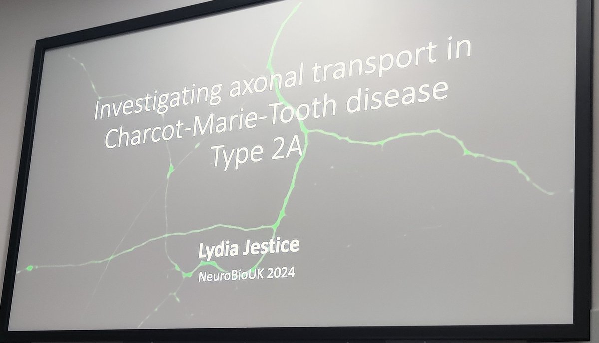 Dr Katherine Forsey (@drbiol) on Twitter photo Excellent presentation by <a href="/LydiaJestice/">Lydia Jestice</a> at #NeuroBioUK on the development of an in vitro model of #CMT2A motor neurons and the study of axonal transport.
#CMTresearch #CMTASTAR Excellent presentation by <a href="/LydiaJestice/">Lydia Jestice</a> at #NeuroBioUK on the development of an in vitro model of #CMT2A motor neurons and the study of axonal transport.
#CMTresearch #CMTASTAR