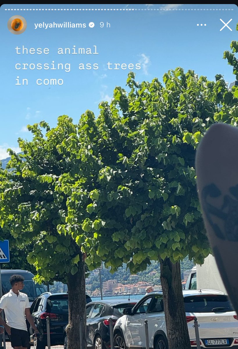 fer_witchwood's tweet photo. Bestie pass the island code so we can visit on animal crossing 🙏 @paramore @itstayloryall @hayleywilliams https://t.co/fi8U2UxRxp
