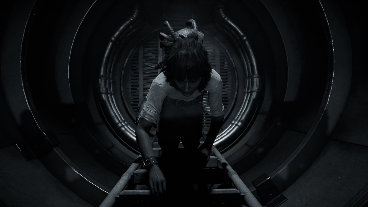 Alex 🌧️ tweet media