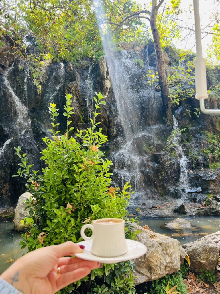 cilekktarlam's tweet photo. her yıl mutlaka 🌿 belemedik ❤️ https://t.co/5oIhmlroFV