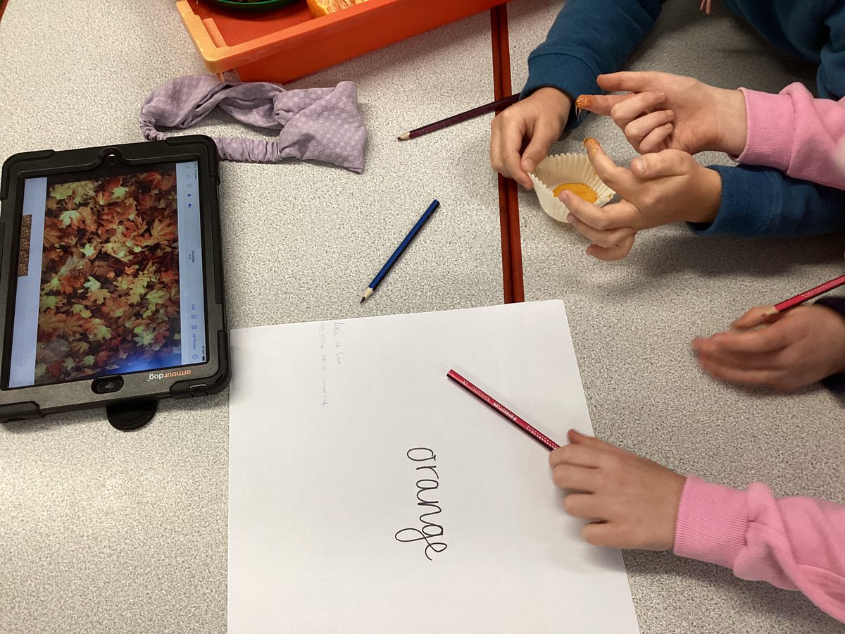 Otter and Squirrel have been exploring the senses this morning for our English experience day. We looked at objects, smells, sounds, textures and images to explore different colours. We particularly enjoyed smelling the sweet white chocolate and touching the sticky syrup.