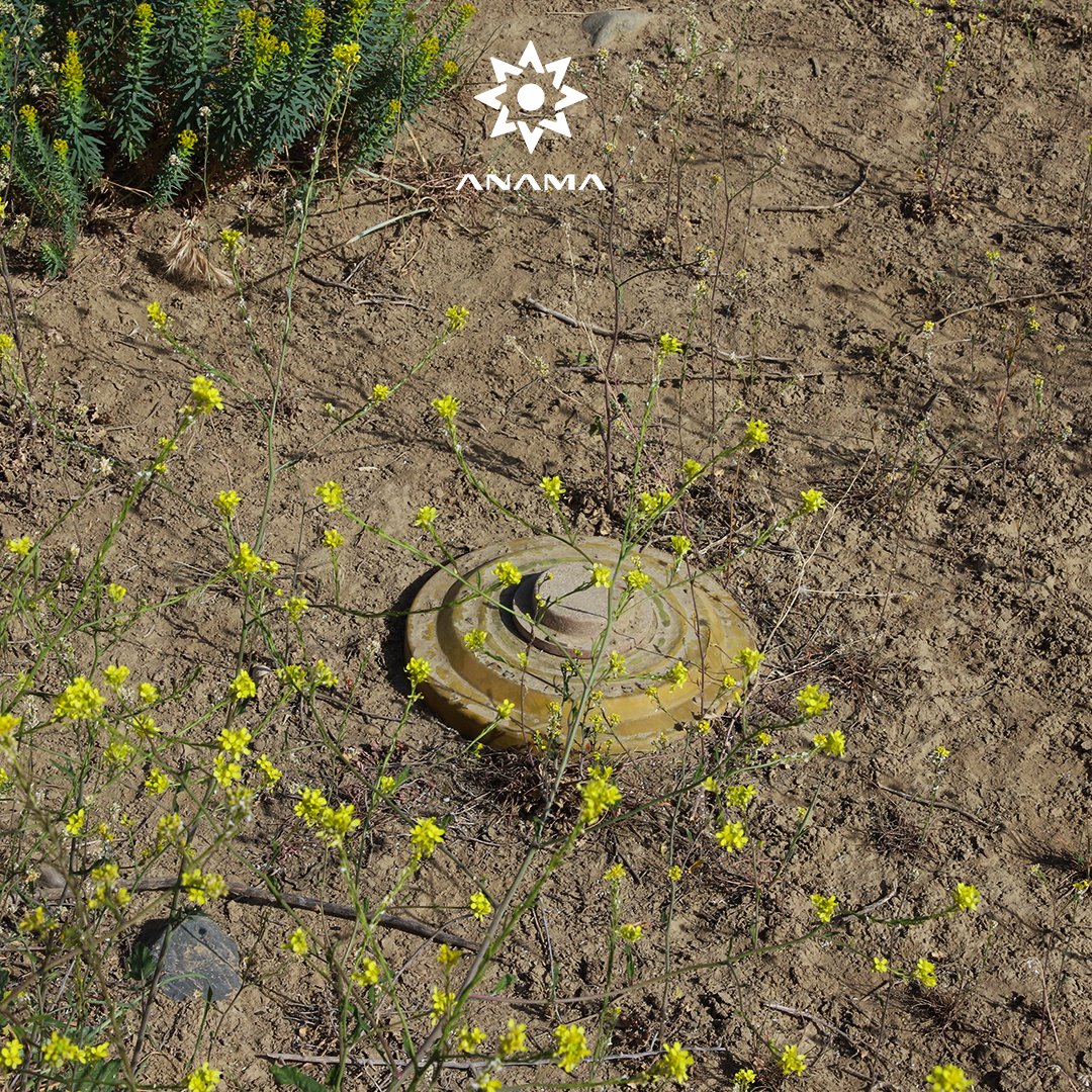 ANAMA_gov_az's tweet photo. According to approximate estimates, Karabakh and East Zangezur are contaminated with nearly 1.5 million landmines, which is equivalent to 480 tons of plastic mass containing explosive harmful substances.
#ANAMA #MineAction #LandmineSafety #MineContamination #EcoThreats #EcoProblems