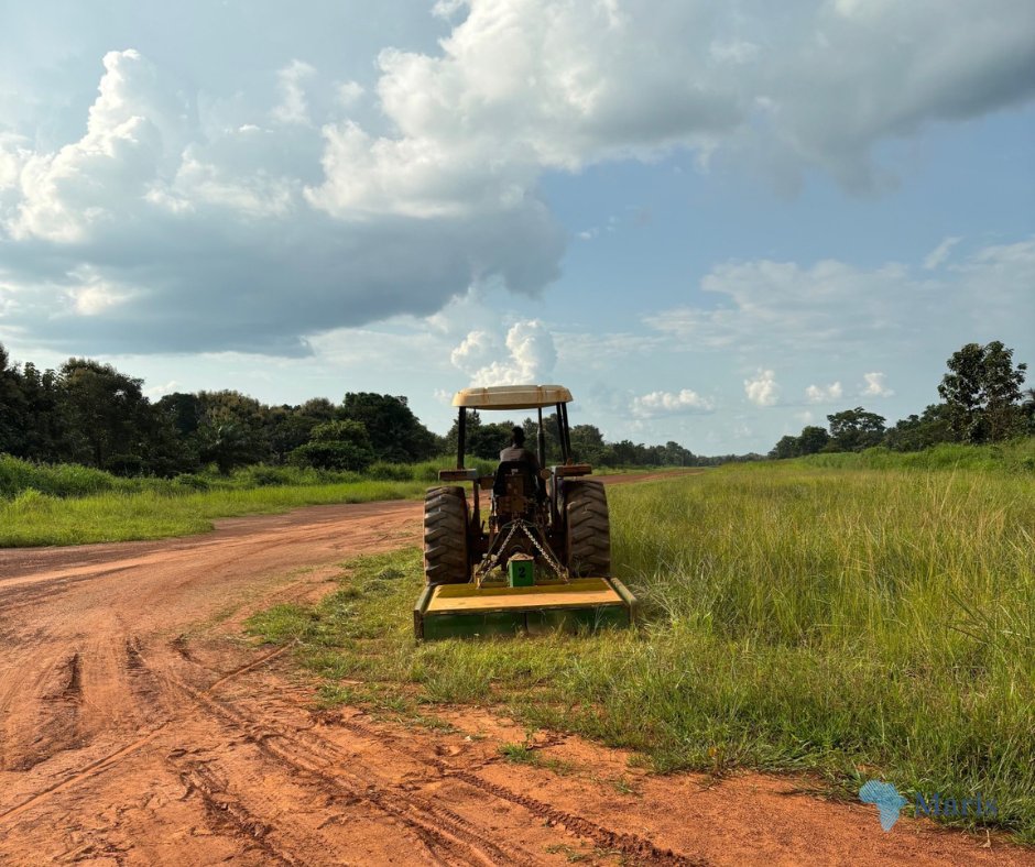 We’re upgrading our airstrip in South Sudan for evacuation flights from Sudan. The international community urgently needs to up its game and bring the war in Sudan to an end. Charlie Tryon’s new blog about the impact of the war on the wider region is here: marisafrica.com/sudan-crisis-r…