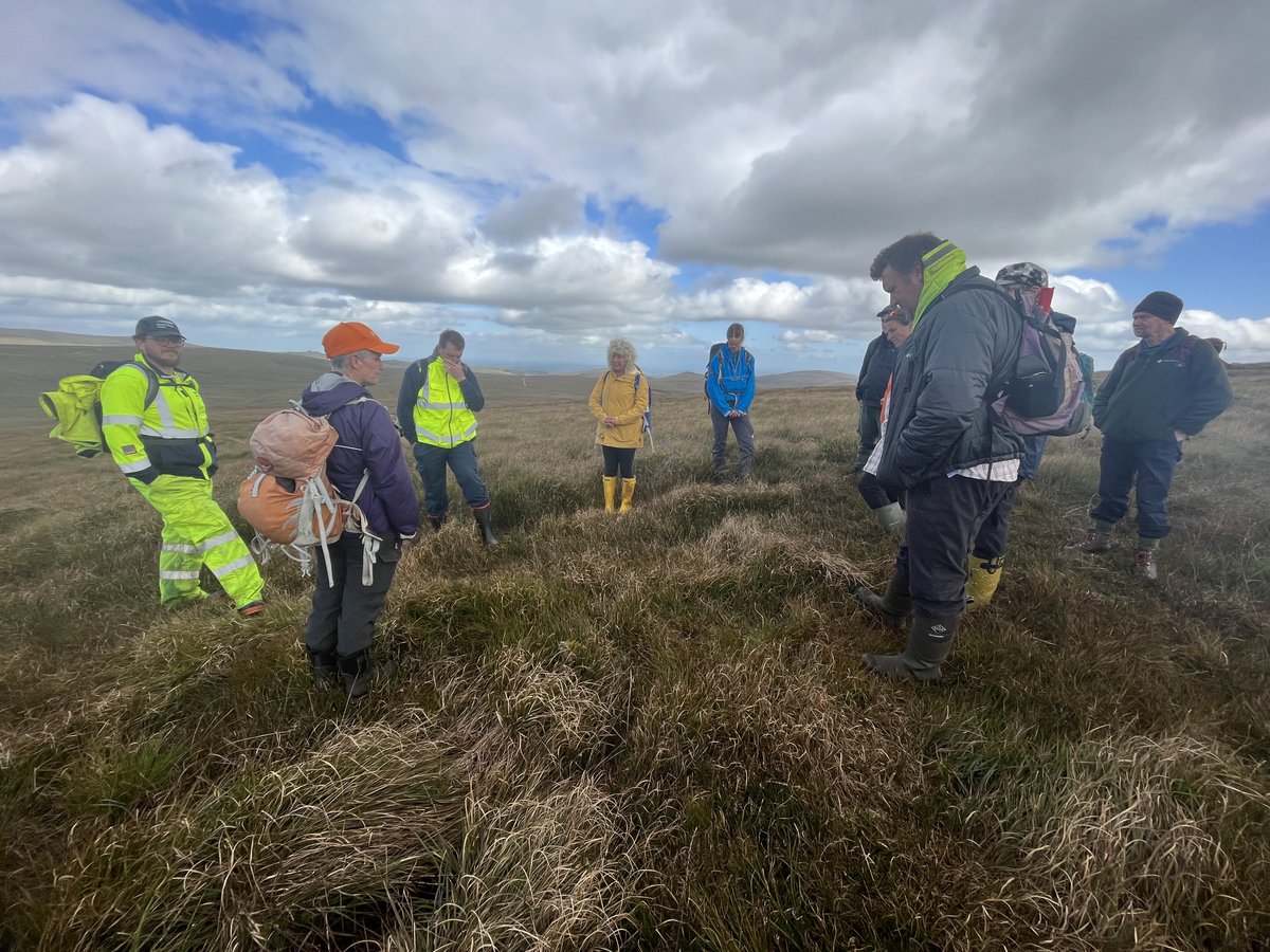 The Art and Energy Collective tweet media