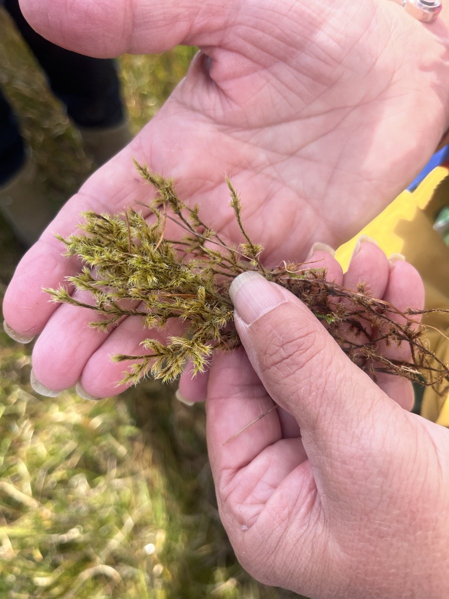 The Art and Energy Collective tweet media