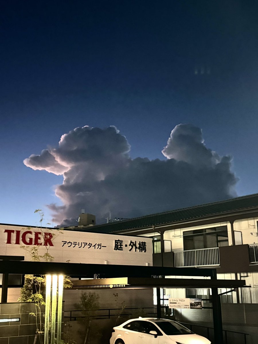 mt7451's tweet photo. 屋根の上にデッカいプードル🐩くんが🤣 https://t.co/A2RrOIobNR