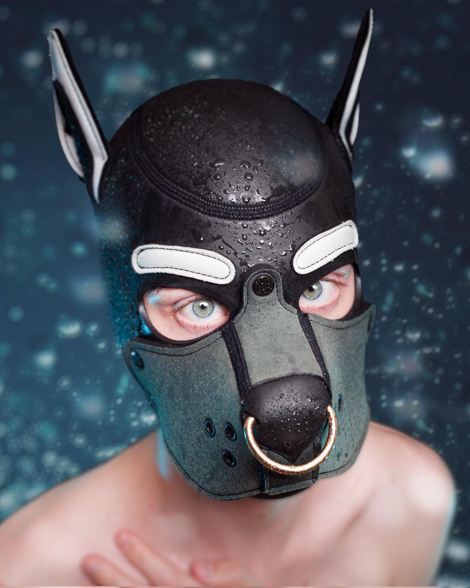 Aaron_HazelPup's tweet photo. Puppy eyes! 🐾 https://t.co/YxzMqksO6o