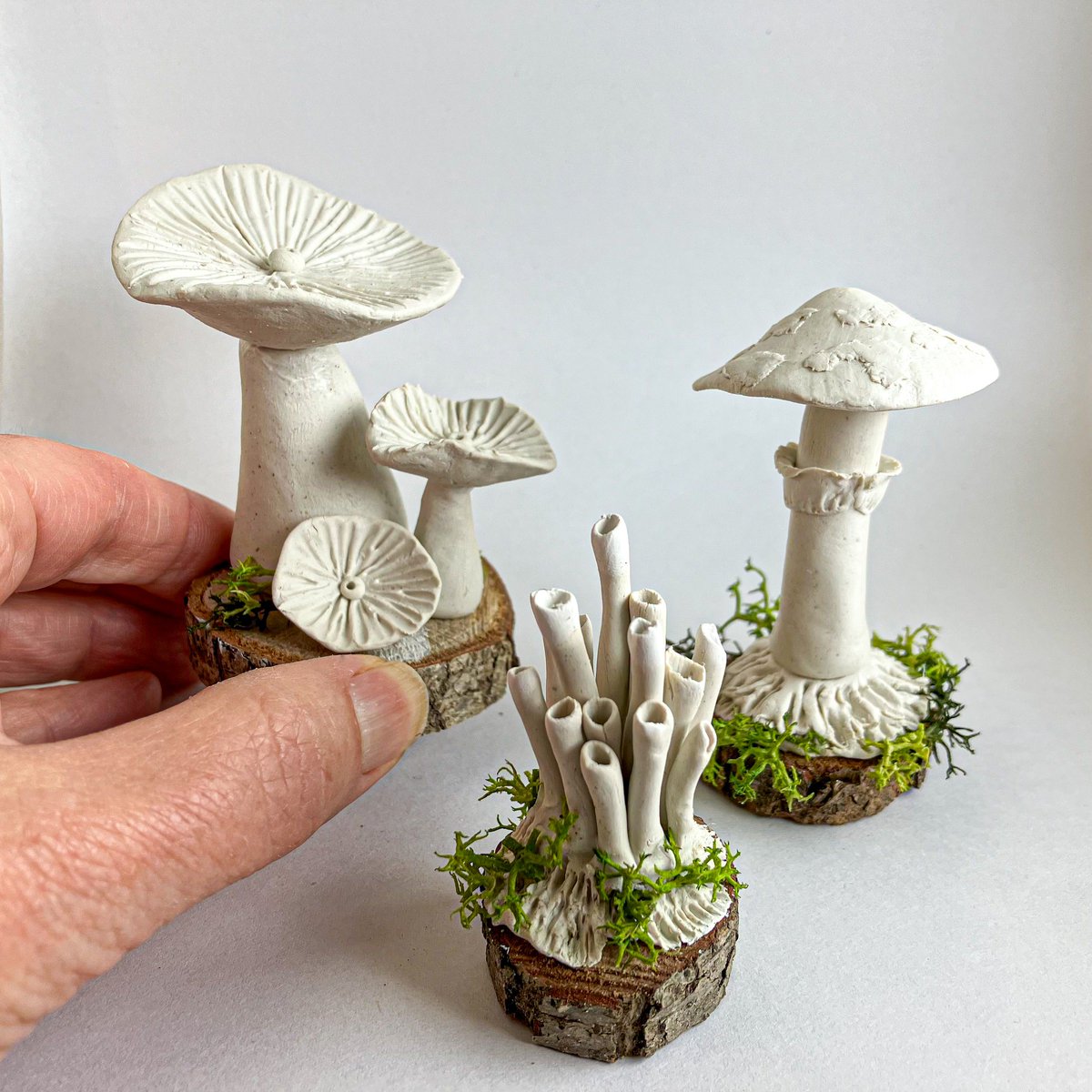 Great Fen (@greatfen) on Twitter photo Our new Clay Mini Mushroom Workshop with <a href="/KParsons_Art/">Kathryn Parsons</a> is now open for booking! Celebrate #NationalFungusDay with a fungi foray and craft workshop. Refreshments included. wildlifebcn.org/events/2024-10… Our new Clay Mini Mushroom Workshop with <a href="/KParsons_Art/">Kathryn Parsons</a> is now open for booking! Celebrate #NationalFungusDay with a fungi foray and craft workshop. Refreshments included. wildlifebcn.org/events/2024-10…