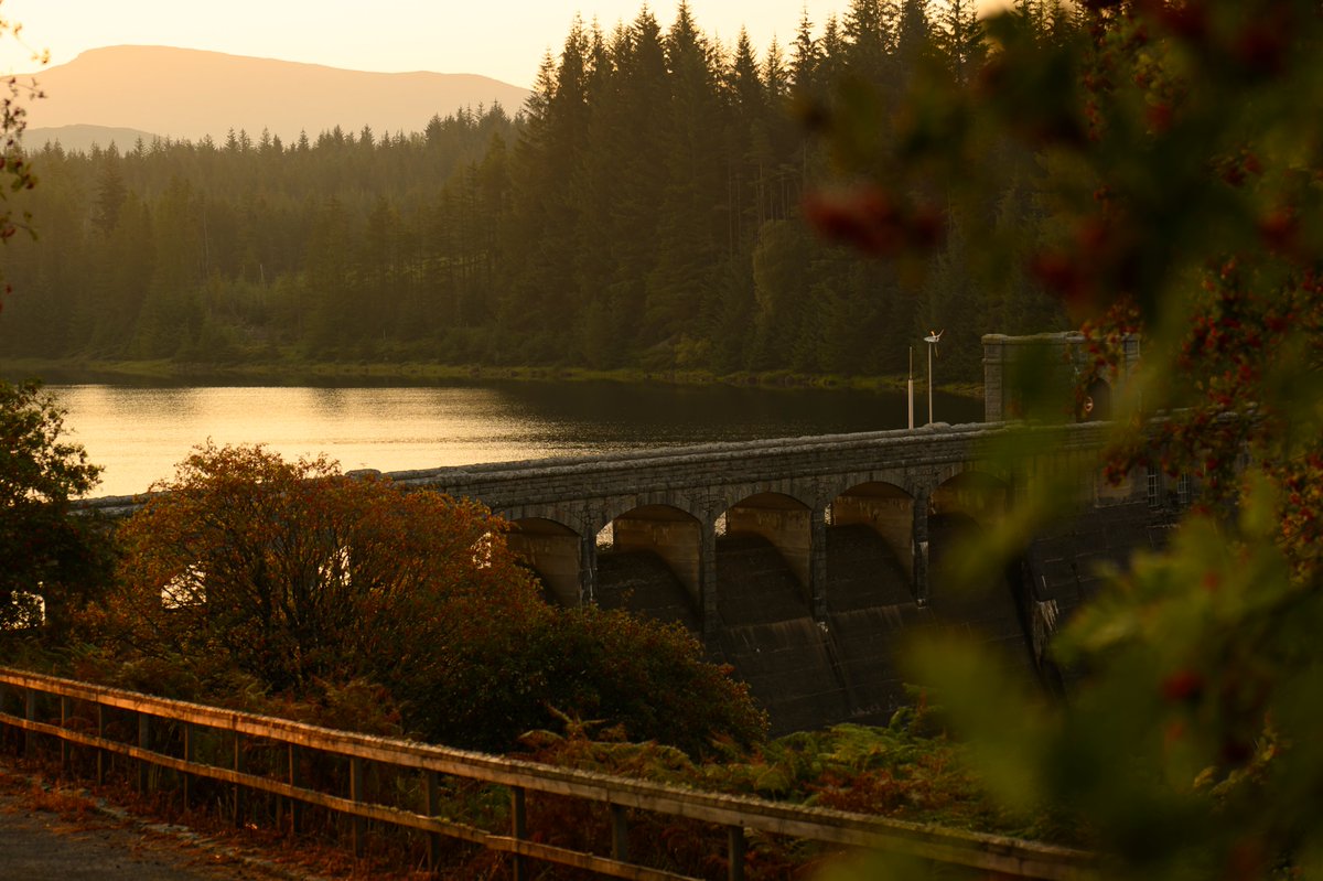 ALVANCE British Aluminium tweet media