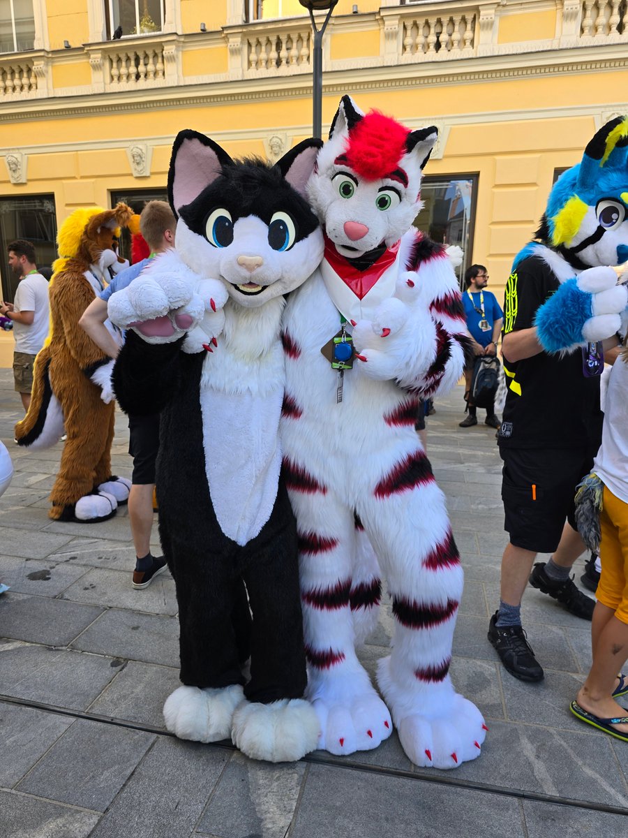 It's a kitty! :3 

<a href="/TraxMeow/">Trax</a> 

Pic: @sova_13

#fursuitfriday