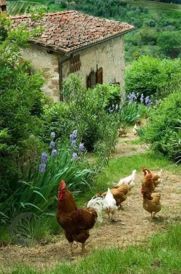 veritebeaute's tweet photo. La paix et la sérénité ….😍 https://t.co/B6JWqAANtz