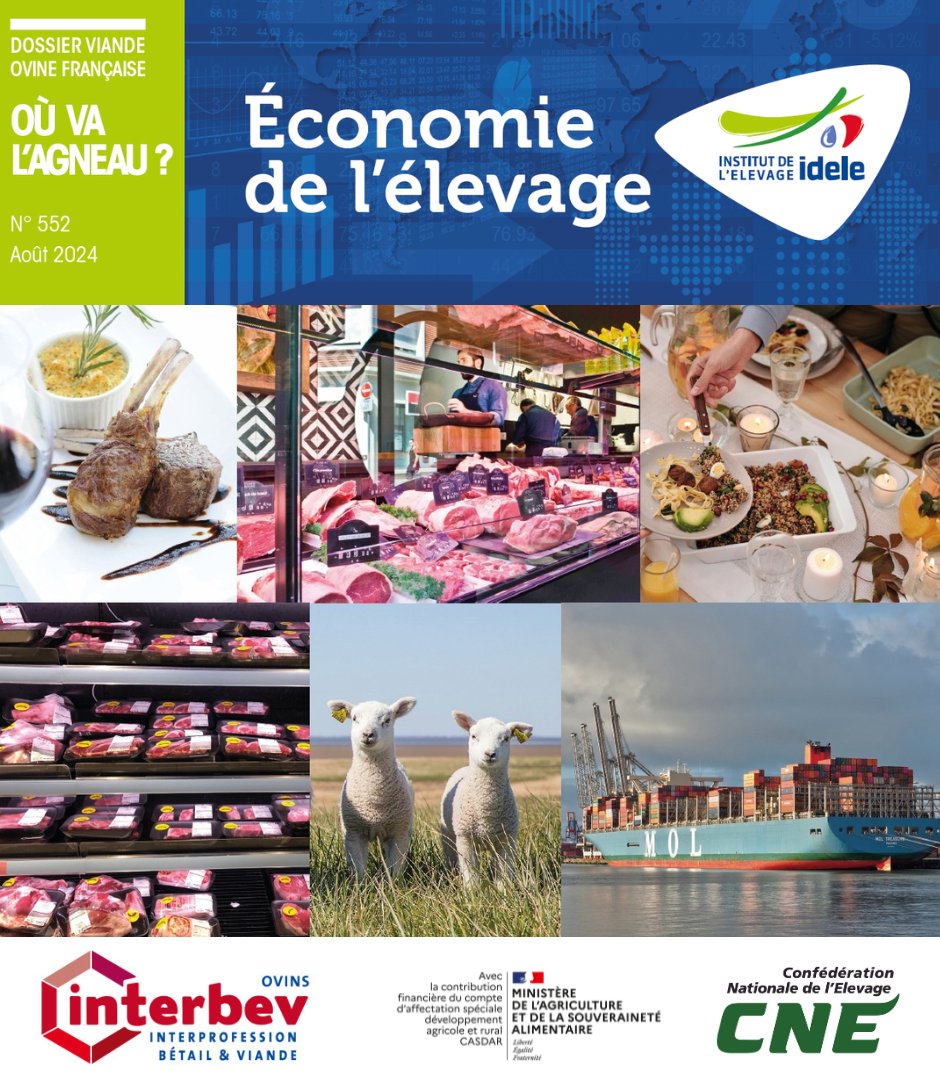 Dossier | #économie de l'#élevage
📌 Où va l'#agneau ? Quels produits pour quels marchés ?
👉 2021 est particulière pour l’analyse du marché de la viande #ovine en raison de :
✅ Mise en œuvre du Brexit
✅ Effets post Covid sur la conso alimentaire
ℹ️ idele.fr/detail-article…