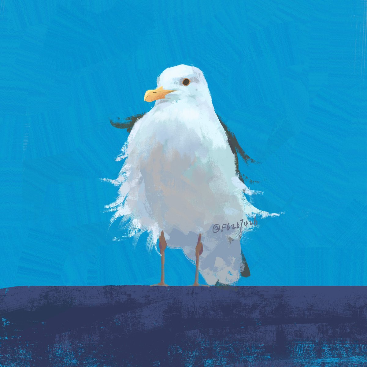 f6267426's tweet photo. a sea gull standing in the wind, san diego.

#procreate #illusrtation #drawing #painting #bird #SanDiego #artwork https://t.co/Lvl42GECCH