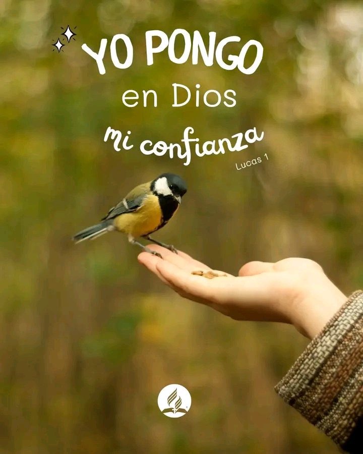 María no tenía el grande ministerio de Zacarías “pero tuvo más fe”, (que ya grande lección hasta aquí )
y así un ministerio especial se le concedió . “La fe hace  diferencia”  hágase conforme a su voluntad sea siempre nuestra respuesta diaria de Fé.
#rpsp