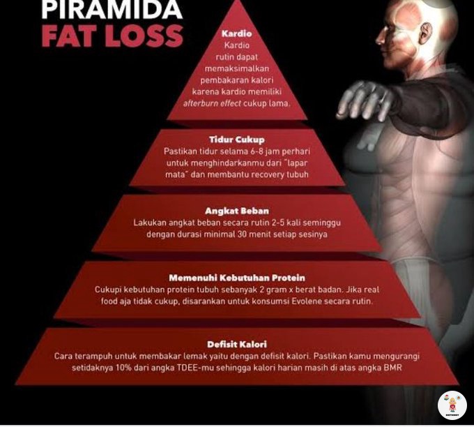 slythheryn's tweet image. perlu fatloss