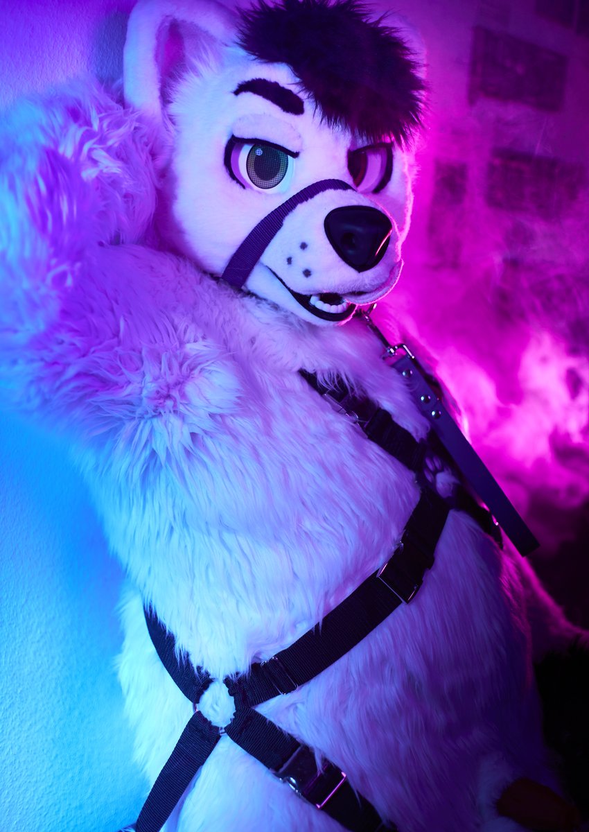 *mlem* 😏
🐾 <a href="/TheWhiteBite/">🔞TheWhiteBite</a>