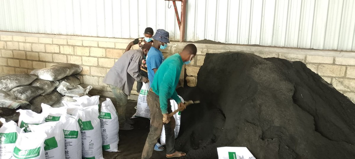 Exciting News! We’ve launched massive demo plots to train 3,000+ farmers on #Biochar-based fertilizers this season! With support from DOEN Foundation we’re aiming to reach 30,000 farmers in by 2025. Affordable inputs + soil regeneration = maximum productivity!

Come Join us!