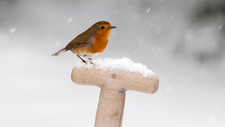 Always Has ˁ˚ᴥ˚ˀ tweet media