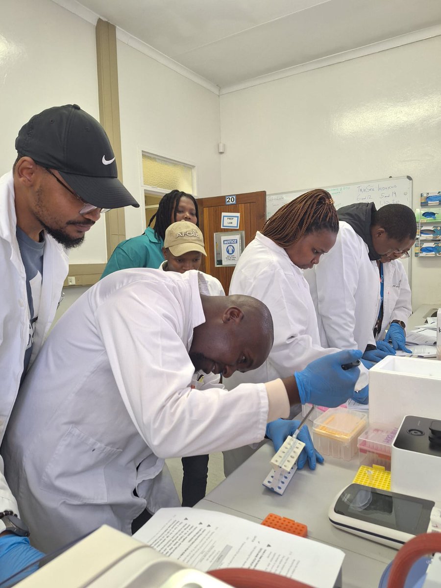 DAISEA_AfricaBP's tweet image. Day 2 - Pretoria, South Africa: Practical session on genome sequencing using @MGI_Technology  held at the Agricultural Research Council as part of the African BioGenome Project @DAISEA_AfricaBP Open Institute Southern Africa Regional Workshop 2024

Bret Wurdeman