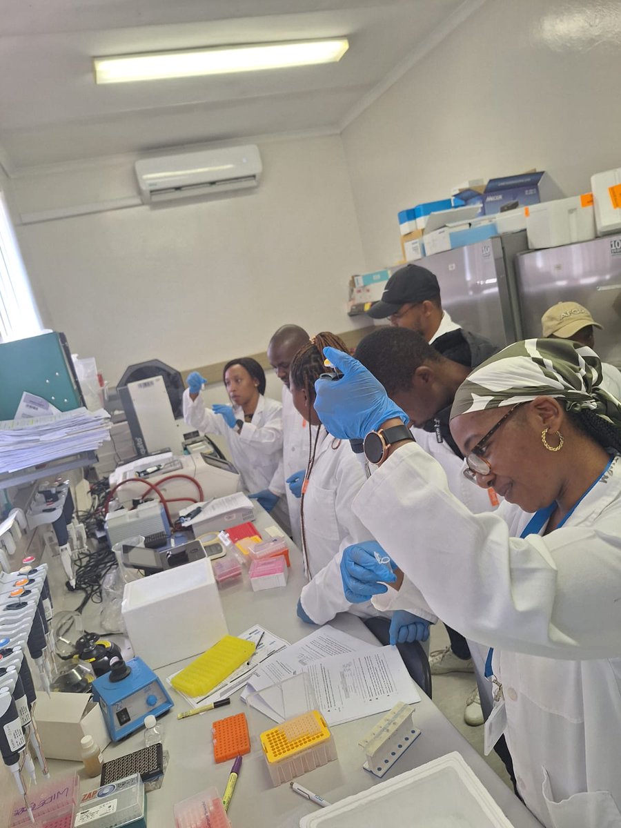 DAISEA_AfricaBP's tweet image. Day 2 - Pretoria, South Africa: Practical session on genome sequencing using @MGI_Technology  held at the Agricultural Research Council as part of the African BioGenome Project @DAISEA_AfricaBP Open Institute Southern Africa Regional Workshop 2024

Bret Wurdeman