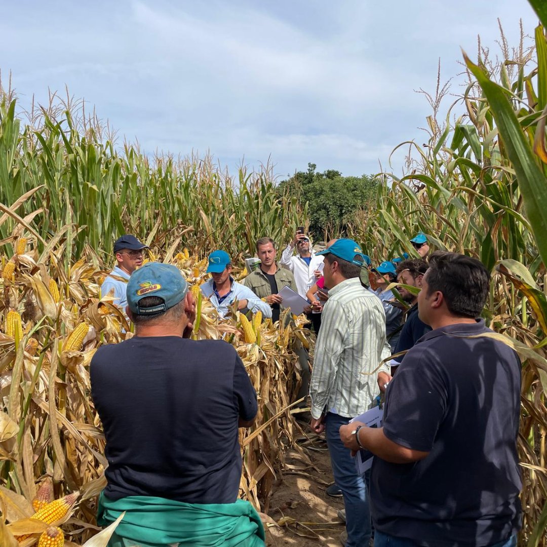 ¡Resumen del Corn Tour Cáceres Norte, Vegas Altas y Vegas Bajas del pasado 11 y 12 de septiembre! 🚜🌽

🌱 Hemos recorrido diferentes campos de ensayo de #maíz, viendo desde cerca el rendimiento y resultados de nuestras variedades.

¡Muchas gracias a todos! 👨‍🌾