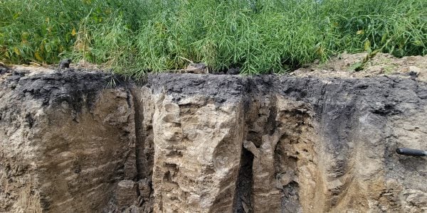 RealAgriculture (@realagriculture) on Twitter photo Holos model aims to answer the "what if" of on-farm GHGs and soil carbon changes #cdnag #ontag #westcdnag ow.ly/666m50Tmqol <a href="/AAFC_Canada/">AAFC Canada</a> @Roland_kroebel Holos model aims to answer the "what if" of on-farm GHGs and soil carbon changes #cdnag #ontag #westcdnag ow.ly/666m50Tmqol <a href="/AAFC_Canada/">AAFC Canada</a> @Roland_kroebel