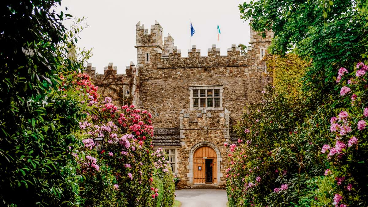 NodeConf EU (@nodeconfeu) on Twitter photo Excited for <a href="/NodeConfEU/">NodeConf EU</a> 2024 at the stunning <a href="/Waterfordcastle/">Waterford Castle Resort</a> this #November! 🏰🌐 Get ready for cutting-edge #talks, networking, and tech magic in an unforgettable setting! See you there! Tickets bit.ly/3V9ZIcx
#NodeConfEU24 #WaterfordCastle #TechAtTheCastle #November Excited for <a href="/NodeConfEU/">NodeConf EU</a> 2024 at the stunning <a href="/Waterfordcastle/">Waterford Castle Resort</a> this #November! 🏰🌐 Get ready for cutting-edge #talks, networking, and tech magic in an unforgettable setting! See you there! Tickets bit.ly/3V9ZIcx
#NodeConfEU24 #WaterfordCastle #TechAtTheCastle #November