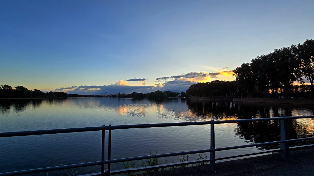 Wouter van der Wulp tweet media