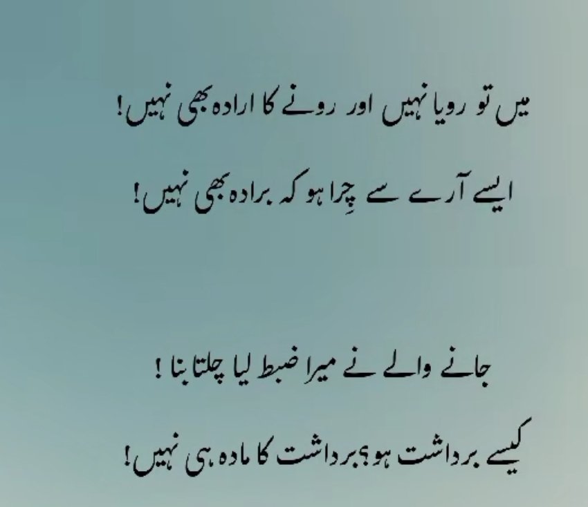 sofiawritten's tweet image. Good Evening 🌆