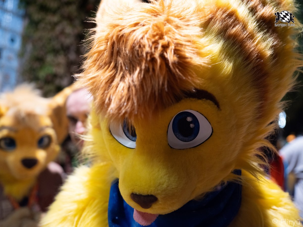 BayernFurs's tweet photo. 😋
#BFD13 #FursuitFriday
👽 @ShizahLombax
📸 @TenzotheTiger
Ihr wollt uns unterstützen? Super!
Dann hier entlang, unter
https://t.co/ARcYxO2uAP https://t.co/HhDT3EqOgW