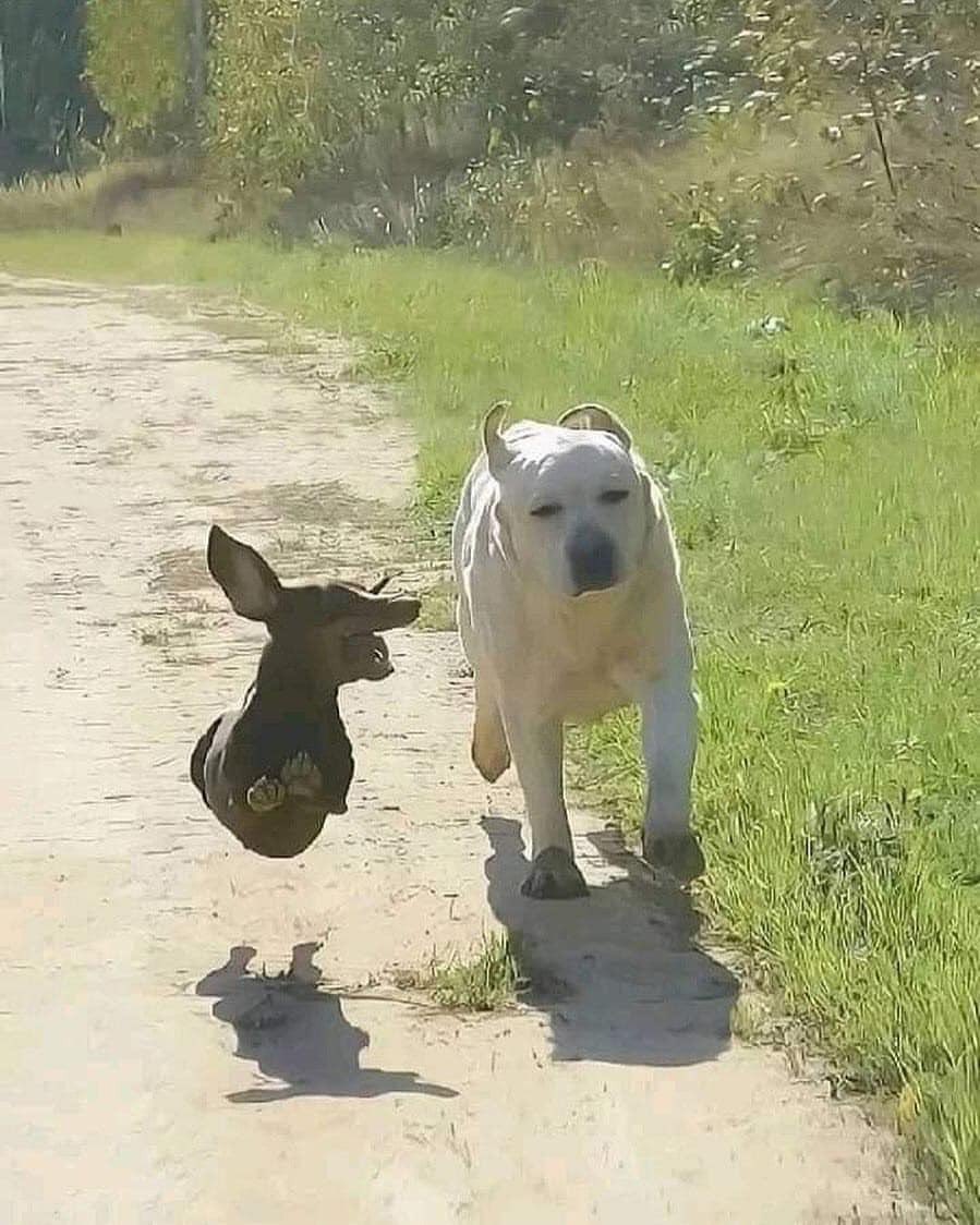 My two moods