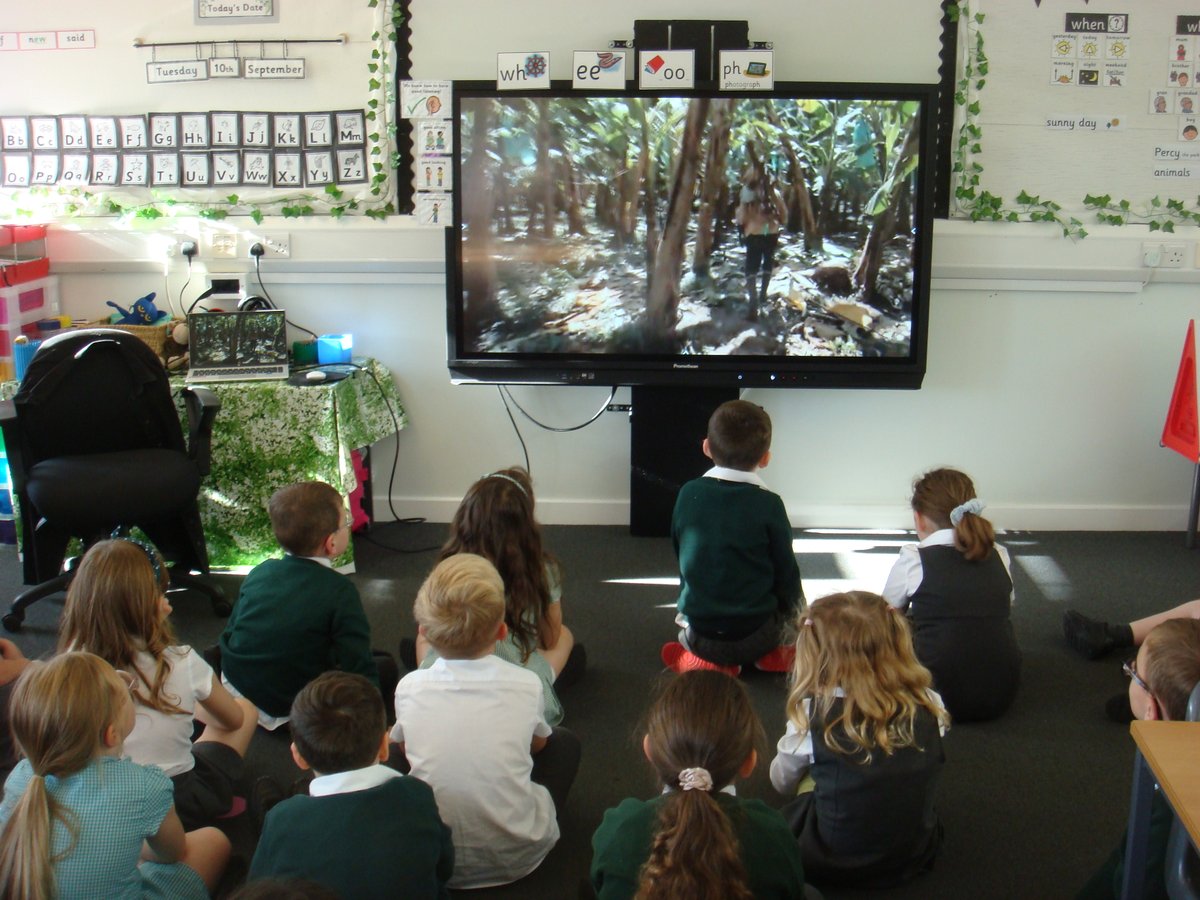 Miss Alexander tweet media