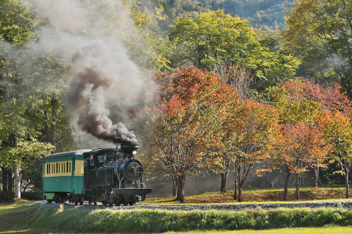 北海道支社からのお便り✉️】 北海道遺産の森林鉄道蒸気機関車「雨宮
