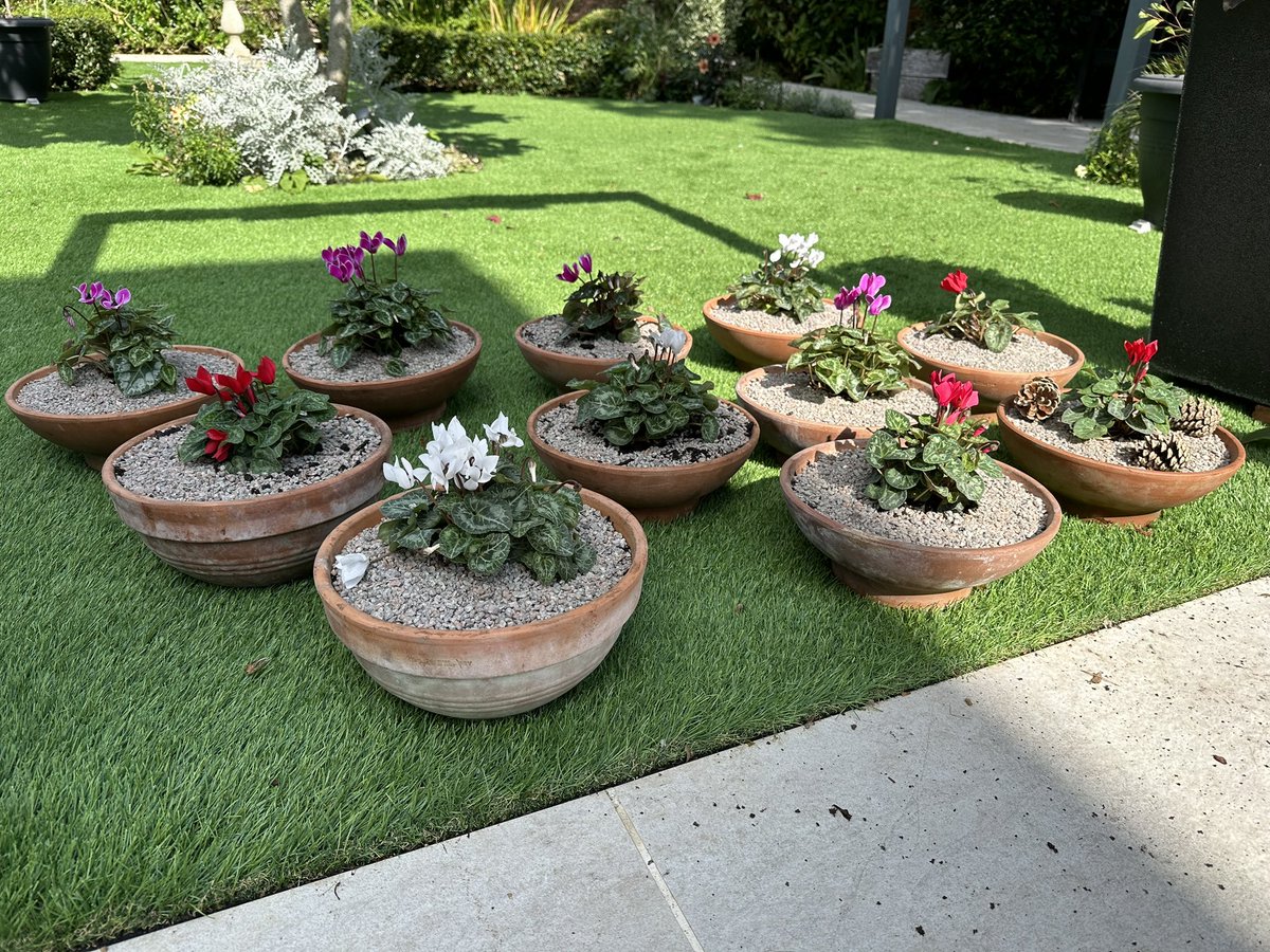 🪴🌱🫛 Lady Nuffield’s Gardener 🌷🌻 tweet media