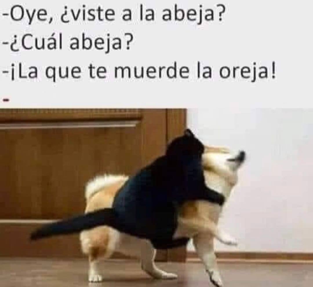 tarambaana (@tarambaana) on Twitter photo 