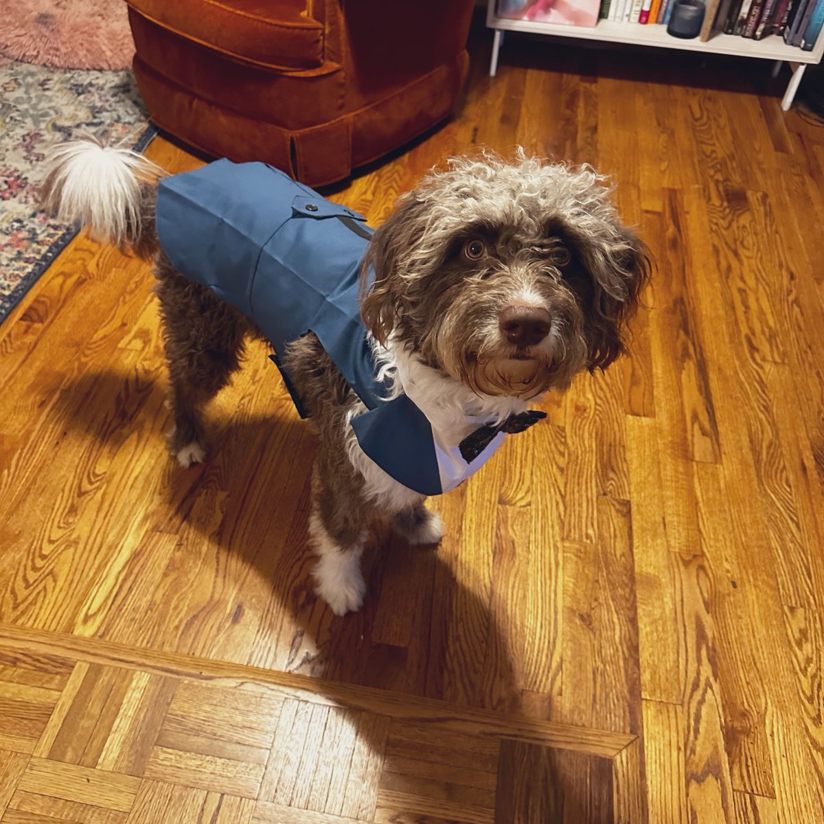 Ms. Cole tweet media