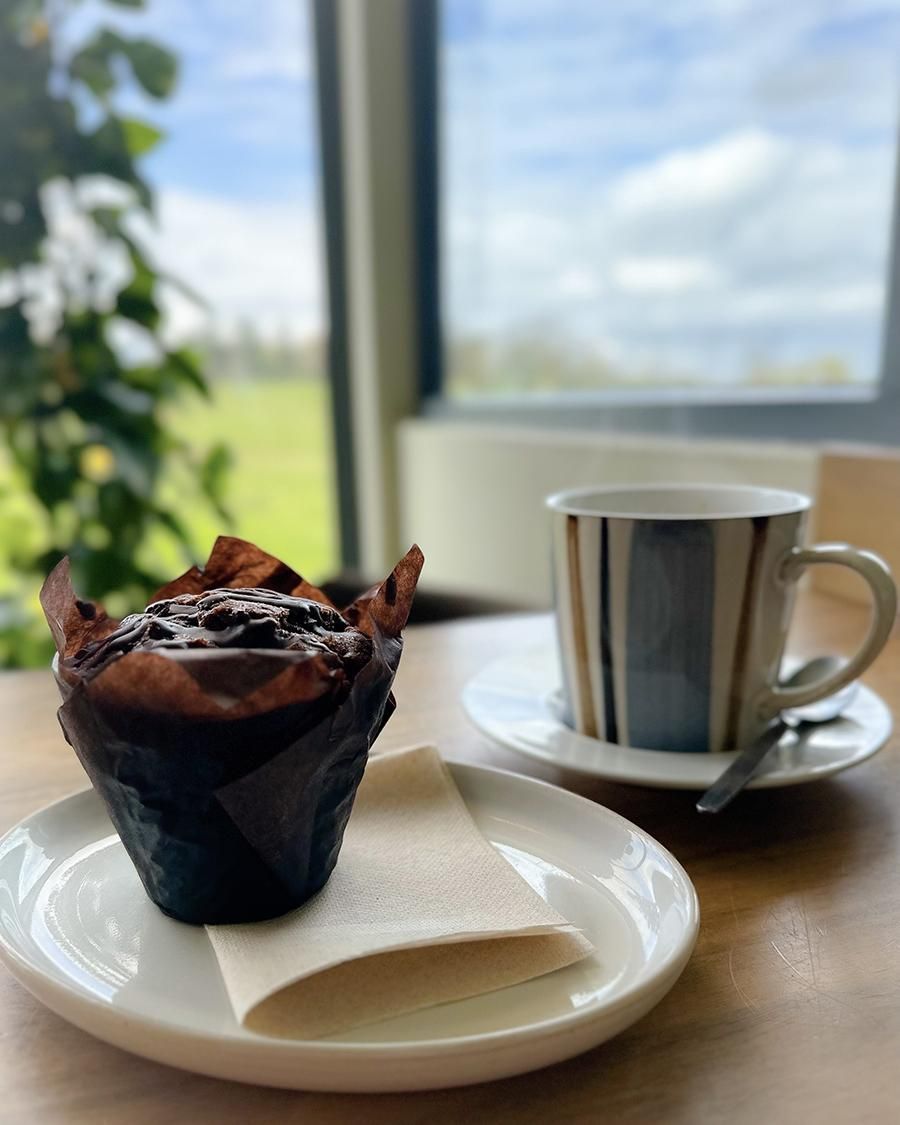 MorleyHayes's tweet photo. We love #chocolate every day, but even more so on #InternationalChocolateDay! Come along to #Roosters where you can enjoy warm chocolate fudge cake or chocolate brownie or visit our #TowerCafe and enjoy #chocolatemuffins and delicious #hotchocolate! https://t.co/bvdEHmGmM8